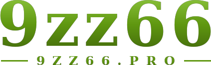 9zz66 logo